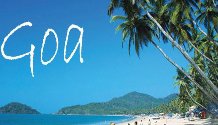  Growing and Reputed travel company in INDIA