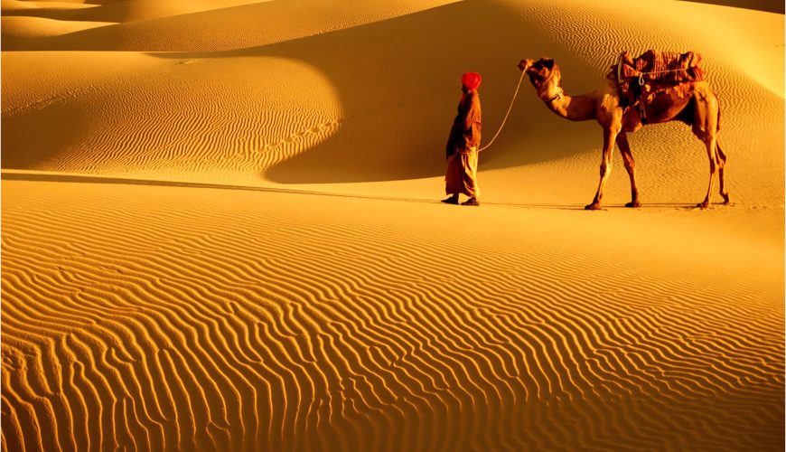  Growing and Reputed travel company in INDIA