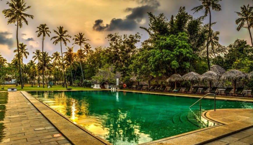  Growing and Reputed travel company in INDIA