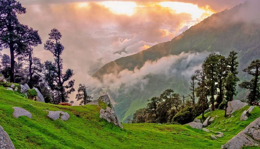  Growing and Reputed travel company in INDIA