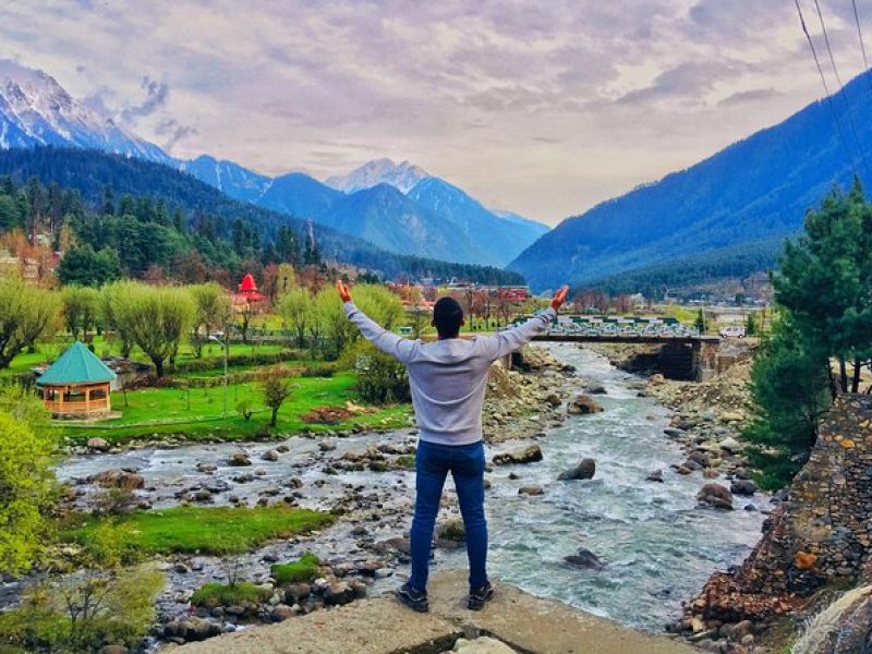  Growing and Reputed travel company in INDIA