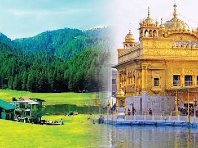  Growing and Reputed travel company in INDIA