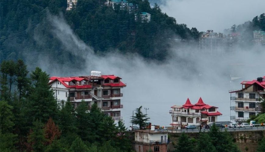  Growing and Reputed travel company in INDIA