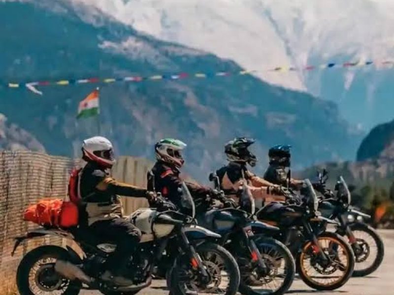  Growing and Reputed travel company in INDIA