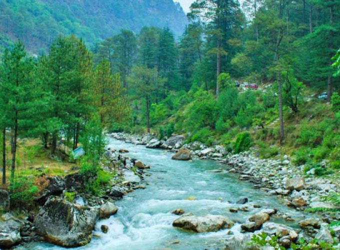  Growing and Reputed travel company in INDIA