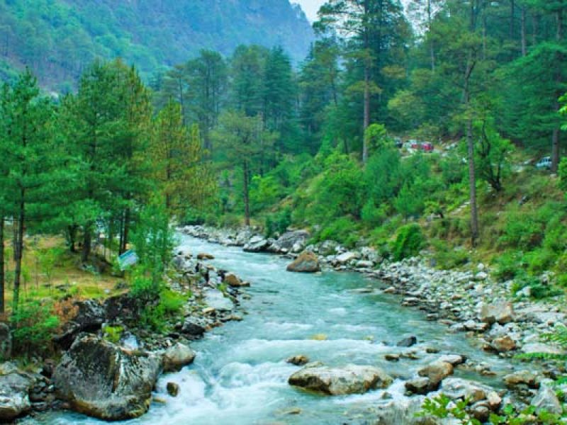  Growing and Reputed travel company in INDIA