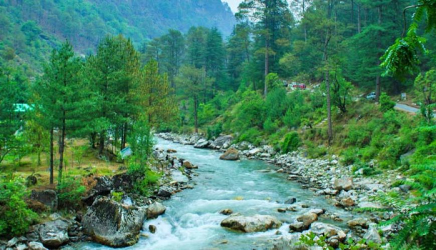  Growing and Reputed travel company in INDIA