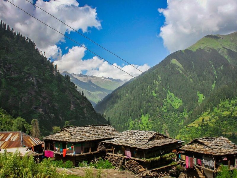  Growing and Reputed travel company in INDIA