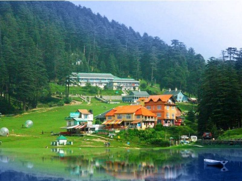 Growing and Reputed travel company in INDIA