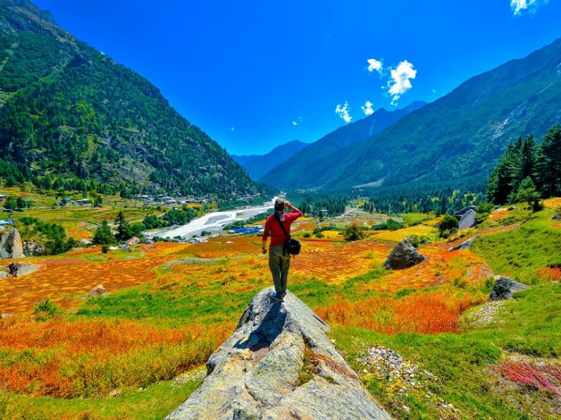  Growing and Reputed travel company in INDIA