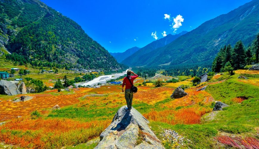  Growing and Reputed travel company in INDIA
