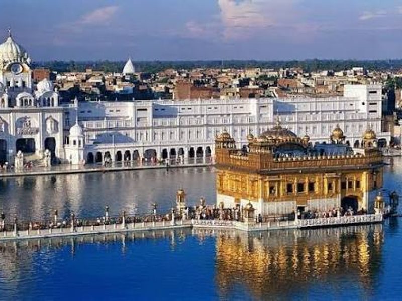 Growing and Reputed travel company in INDIA