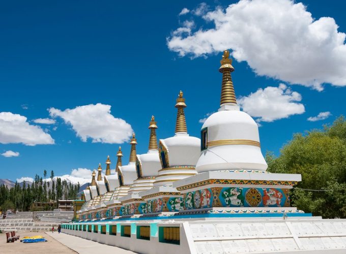  Growing and Reputed travel company in INDIA