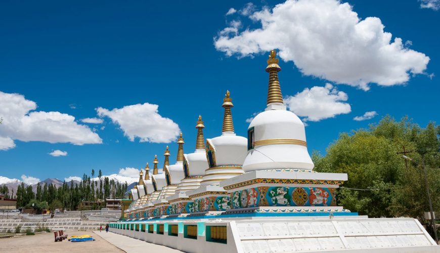  Growing and Reputed travel company in INDIA