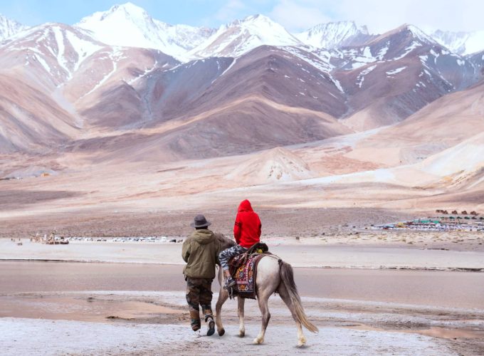 Growing and Reputed travel company in INDIA