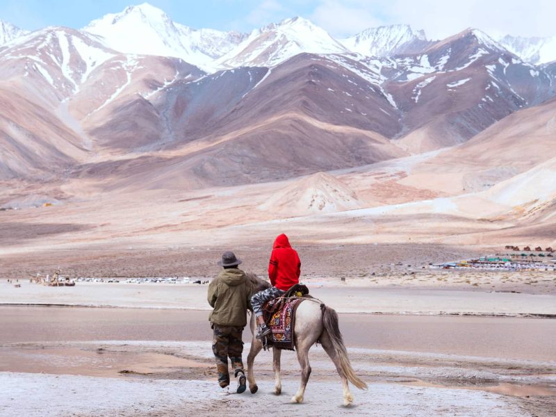  Growing and Reputed travel company in INDIA