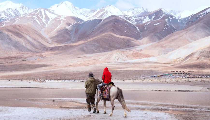  Growing and Reputed travel company in INDIA