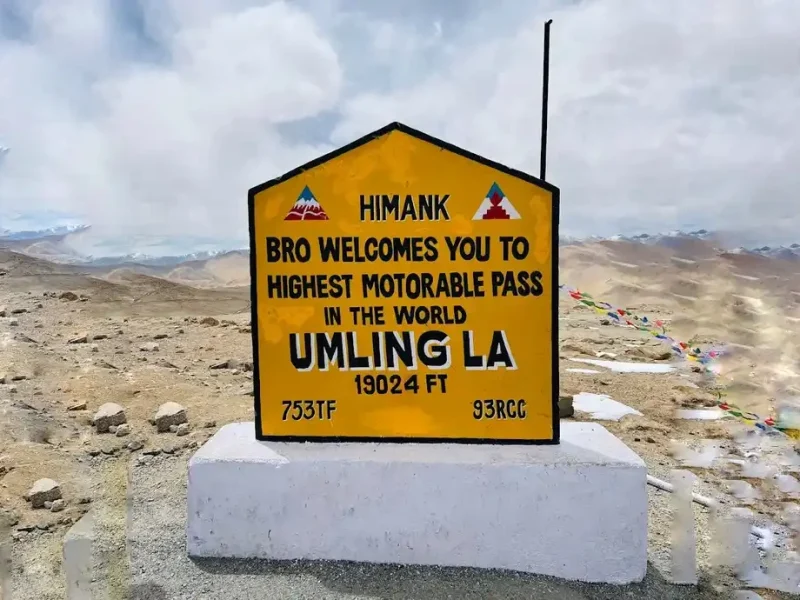  Growing and Reputed travel company in INDIA