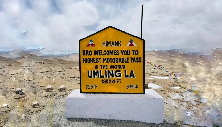  Growing and Reputed travel company in INDIA