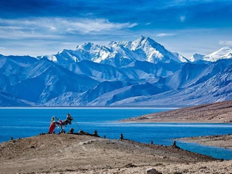  Growing and Reputed travel company in INDIA