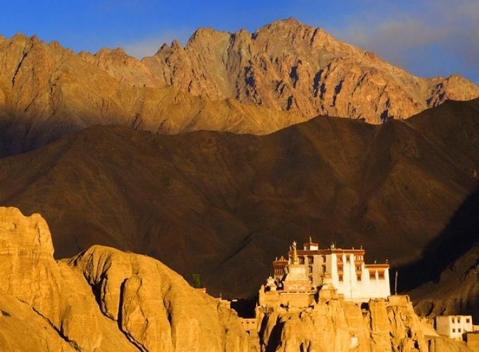  Growing and Reputed travel company in INDIA