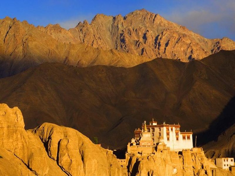  Growing and Reputed travel company in INDIA