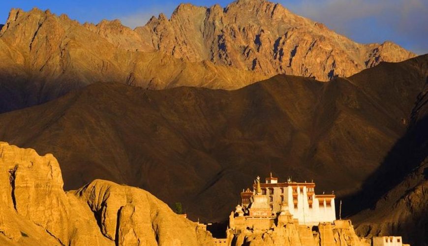  Growing and Reputed travel company in INDIA