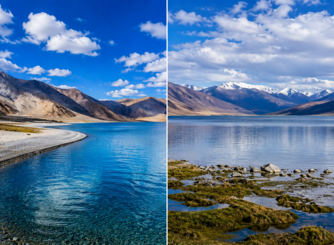  Growing and Reputed travel company in INDIA