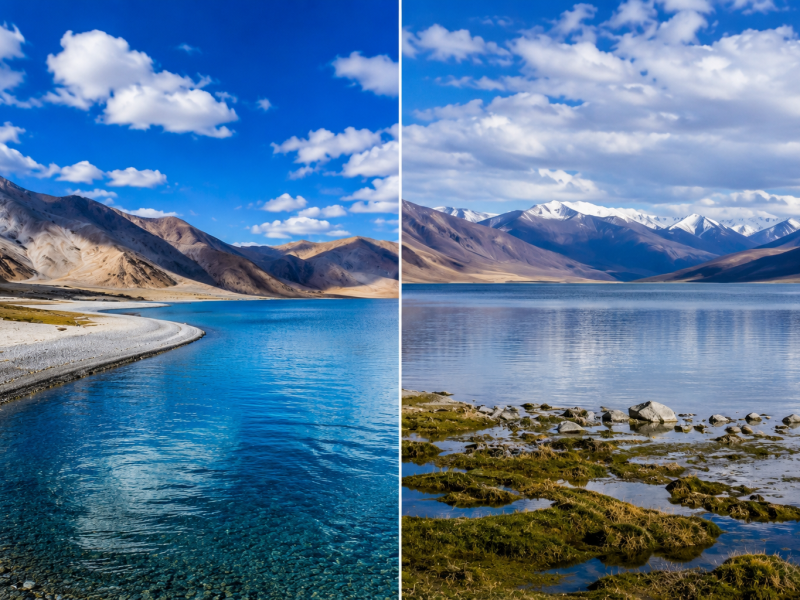  Growing and Reputed travel company in INDIA