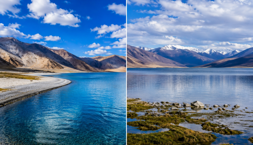  Growing and Reputed travel company in INDIA