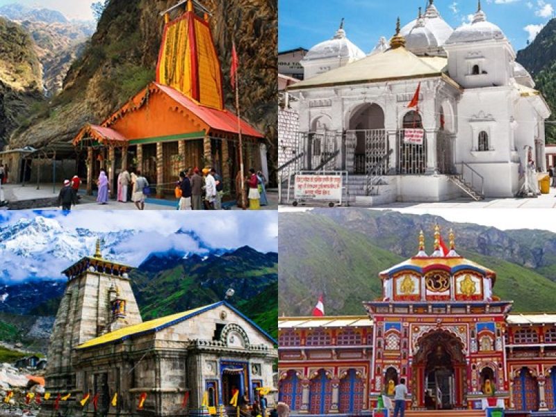  Growing and Reputed travel company in INDIA