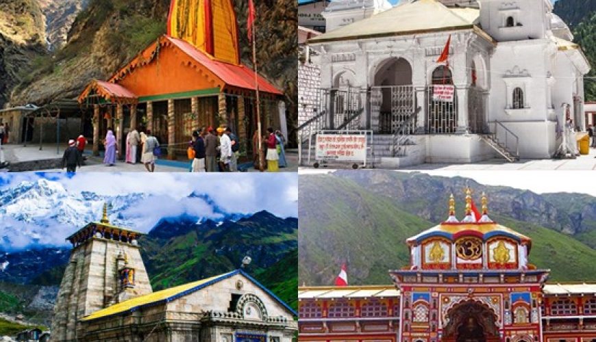  Growing and Reputed travel company in INDIA