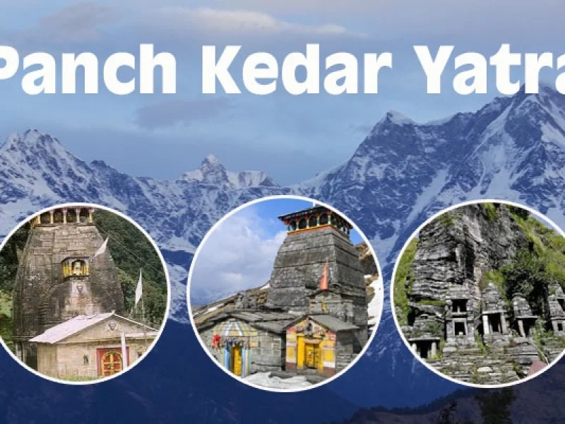  Growing and Reputed travel company in INDIA