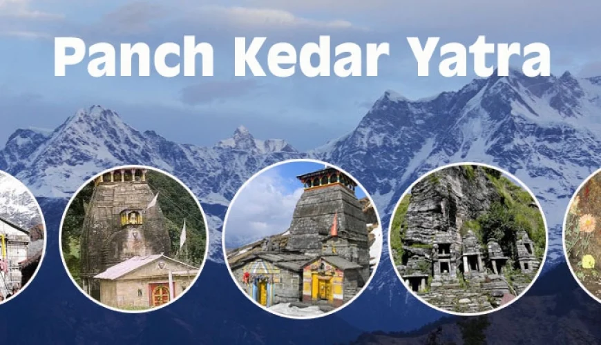  Growing and Reputed travel company in INDIA